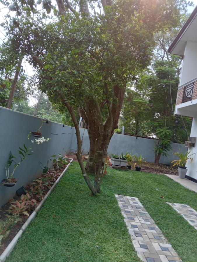 Sky Bloom Bed & Breakfast Homagama Exterior photo